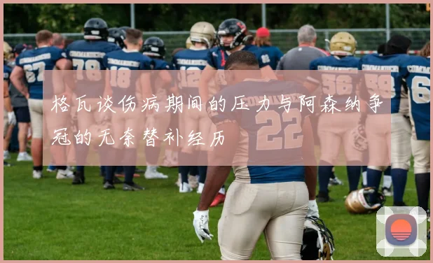 格瓦谈伤病期间的压力与阿森纳争冠的无奈替补经历