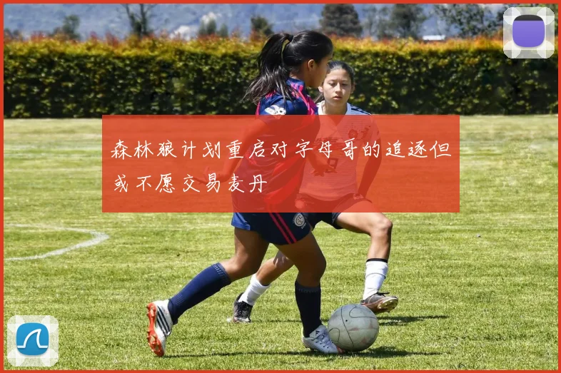 森林狼计划重启对字母哥的追逐但或不愿交易麦丹