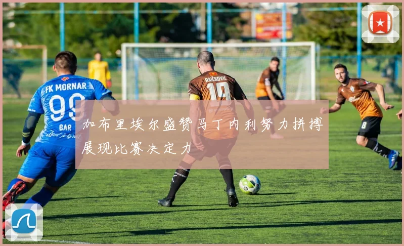 加布里埃尔盛赞马丁内利努力拼搏展现比赛决定力