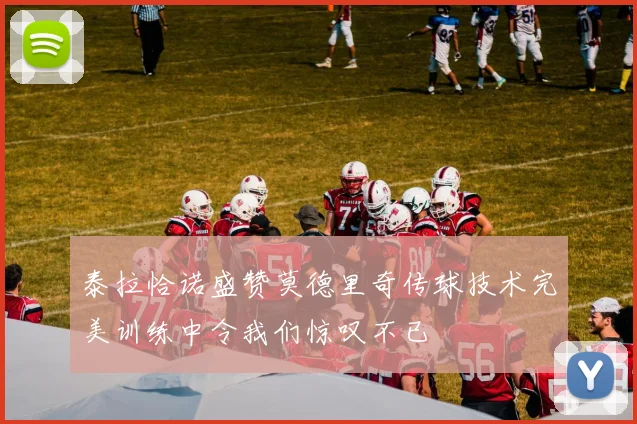 泰拉恰诺盛赞莫德里奇传球技术完美训练中令我们惊叹不已